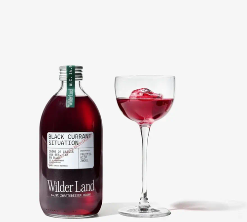 Black Current Situation (500 ml) | Wilder Land