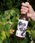 Dessert siroop Hazelnoten | Fruitslagers
