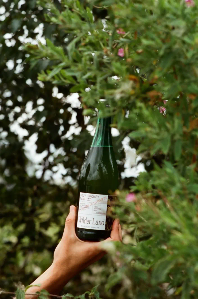 Kombucha Holy Smokey Part II | Wilder Land