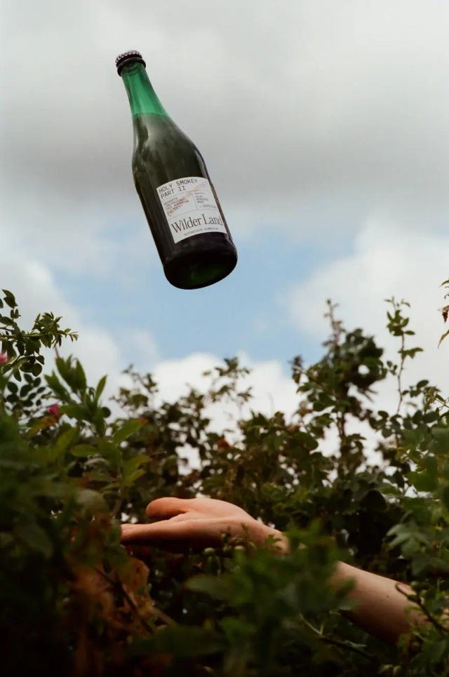 Kombucha Holy Smokey Part II | Wilder Land