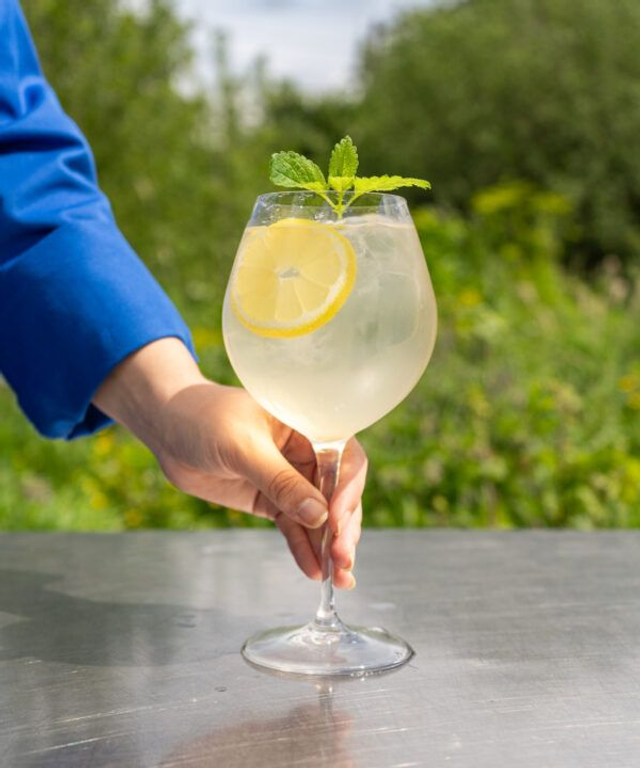 Wilde siroop | Fruitslagers