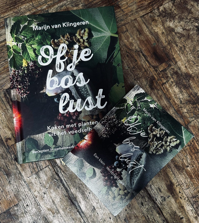 Of je bos lust | Marijn van Klingeren